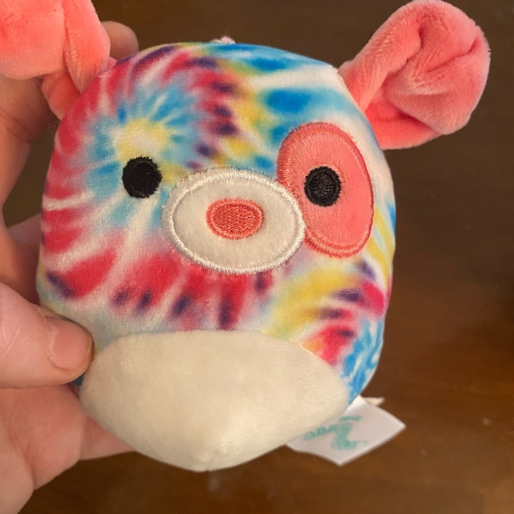 Caeli the tye dye dog squishmallows clip